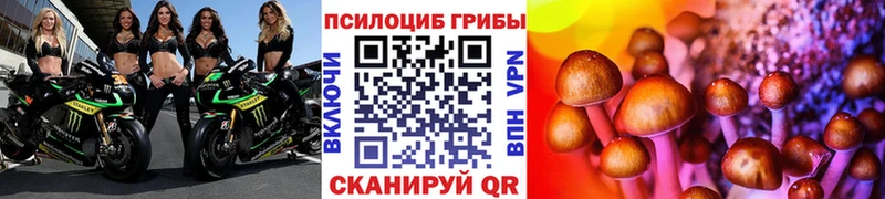 Галлюциногенные грибы мицелий  магазин    Комсомольск 